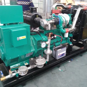 Natural Gas Generators